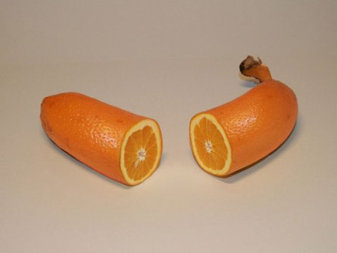 is het een sinaasappel die eruit ziet als een banaan of een banaan met eigenschappen van een sinaasappel?